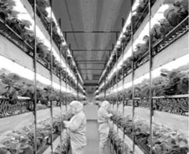 高考地理試卷硬件的匠心設(shè)計(jì) 以2016年合肥一中一模文綜地理為例